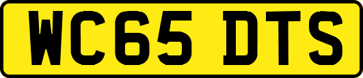 WC65DTS