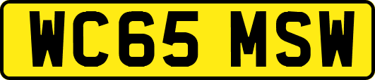 WC65MSW