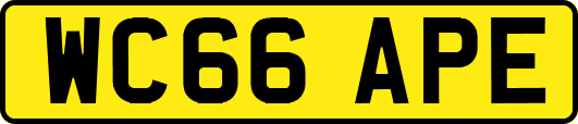 WC66APE