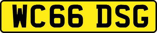 WC66DSG