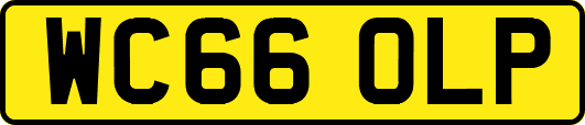 WC66OLP