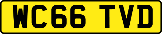 WC66TVD