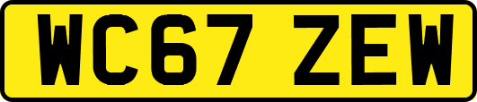 WC67ZEW