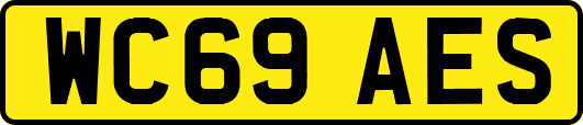 WC69AES