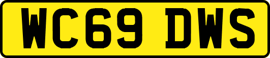 WC69DWS