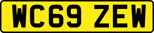WC69ZEW