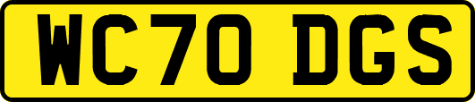 WC70DGS