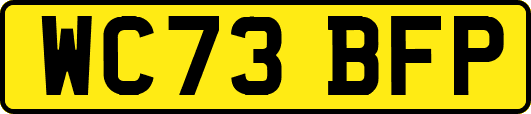 WC73BFP