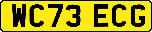 WC73ECG