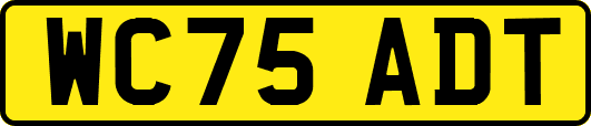 WC75ADT