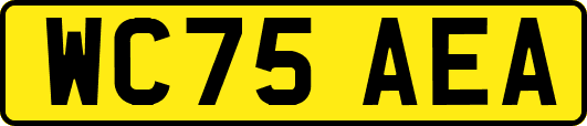 WC75AEA