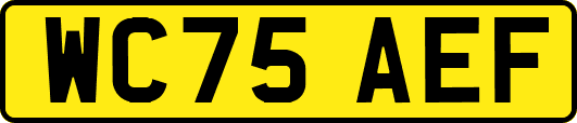 WC75AEF