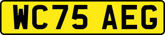 WC75AEG