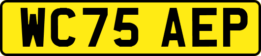 WC75AEP