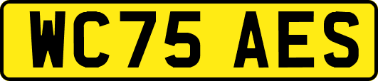 WC75AES