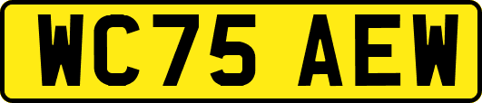 WC75AEW
