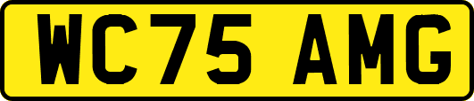 WC75AMG