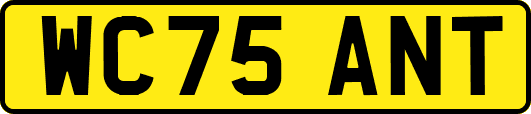 WC75ANT