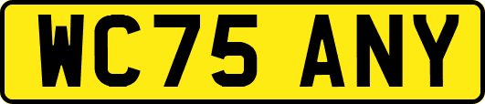 WC75ANY