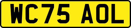WC75AOL