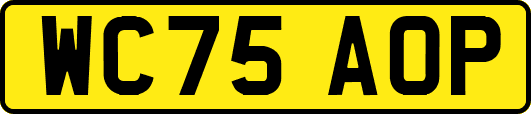 WC75AOP