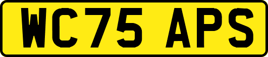 WC75APS
