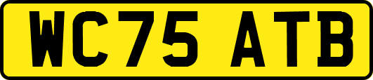 WC75ATB