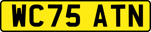 WC75ATN