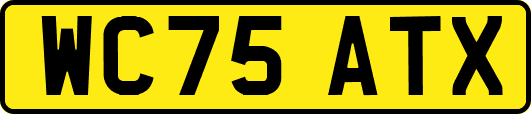 WC75ATX