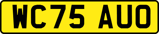 WC75AUO