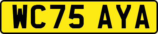 WC75AYA