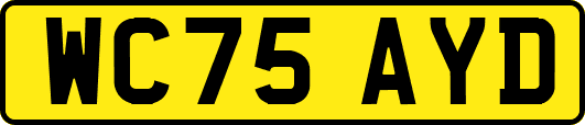 WC75AYD