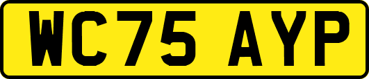 WC75AYP