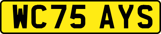 WC75AYS