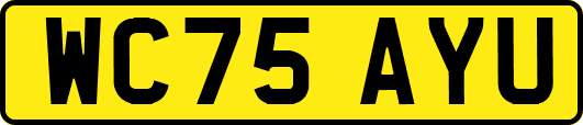WC75AYU