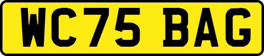 WC75BAG