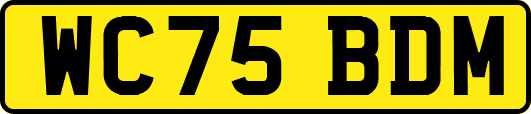 WC75BDM