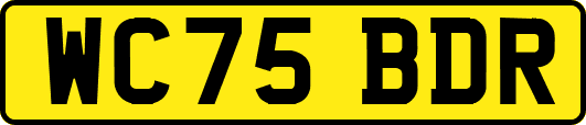 WC75BDR
