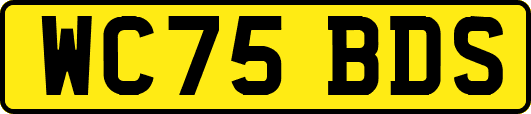 WC75BDS