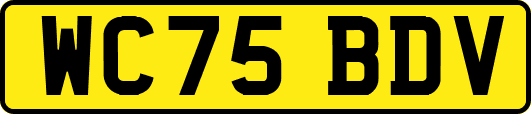 WC75BDV