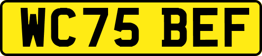 WC75BEF