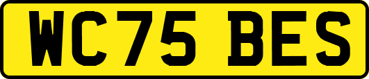 WC75BES