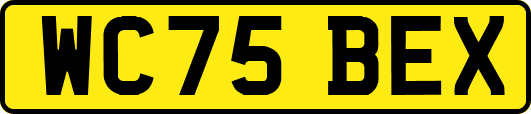 WC75BEX