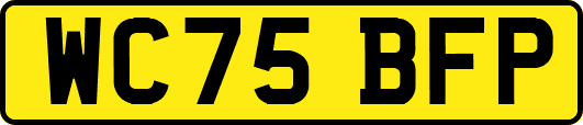 WC75BFP