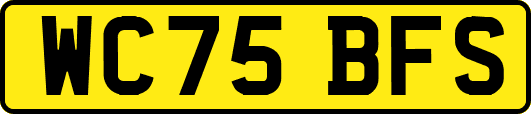 WC75BFS