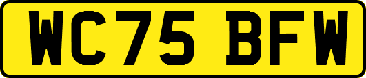 WC75BFW