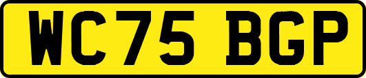 WC75BGP