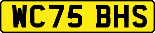 WC75BHS
