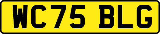 WC75BLG