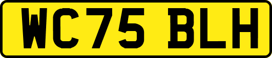 WC75BLH